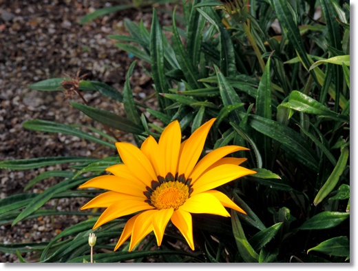 DSCN2527.JPG