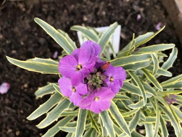 rblog-20180408180729-00.jpg