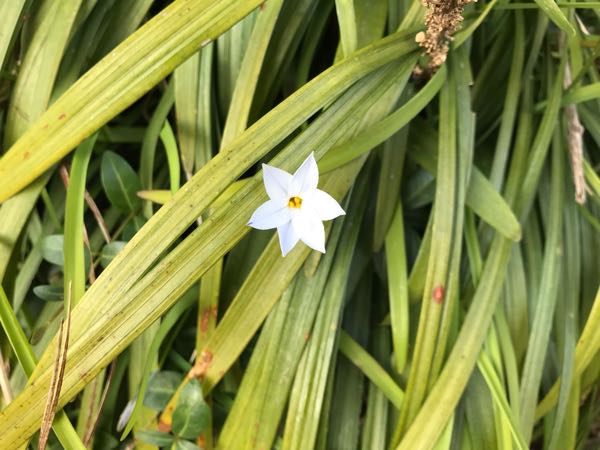 rblog-20190324174614-06.jpg