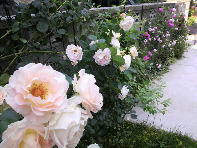 2012-04-20 12:13:31