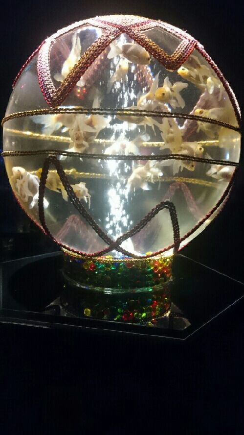 rblog-20150813220555-03.jpg