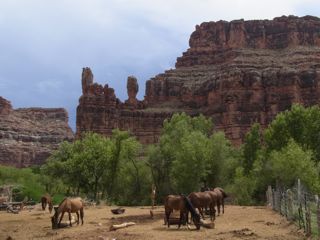 RIMG0500.jpg
