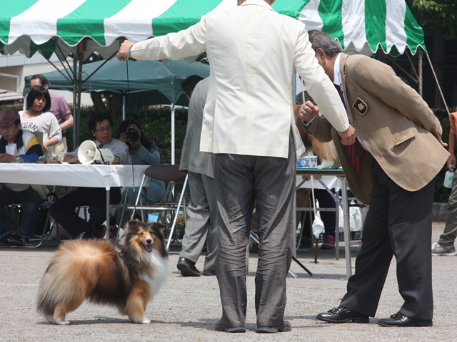 IMG_1811 - コピー.JPG