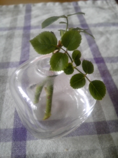 2014-07-11 18:51:07