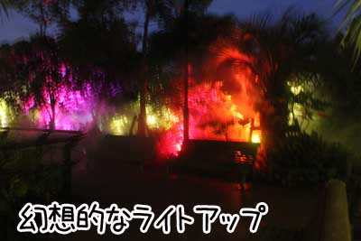 夜２１.JPG
