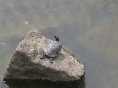 IMG_0051 縮小 - コピー.jpg