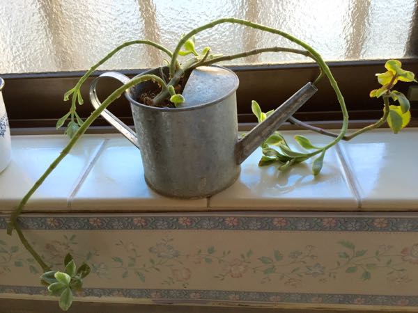 rblog-20151230163511-05.jpg