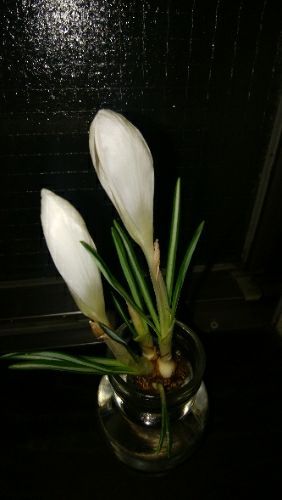 rblog-20180224070457-02.jpg