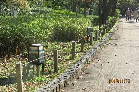 IMG_4514b.jpg