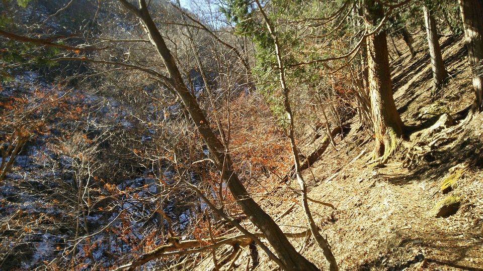 両神山 登山 2月4日 登ってみた。 | 家一軒を解体してみたら いろいろやってみたくなる - 楽天ブログ