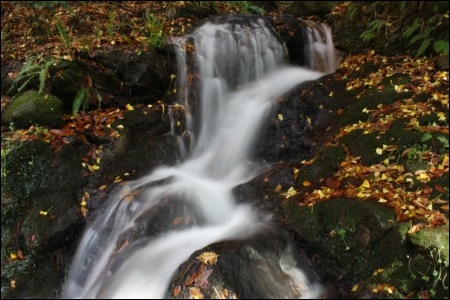 12月-2 流・落・白