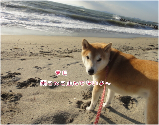 1023夕方2.jpg