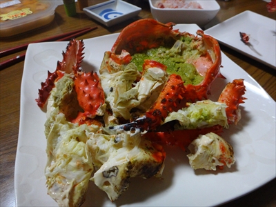 DSC01026_R.JPG