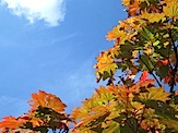 IMG_1915.JPG