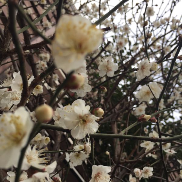 rblog-20190206084915-02.jpg