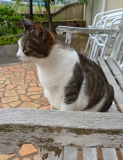 P1070217-ass.jpg