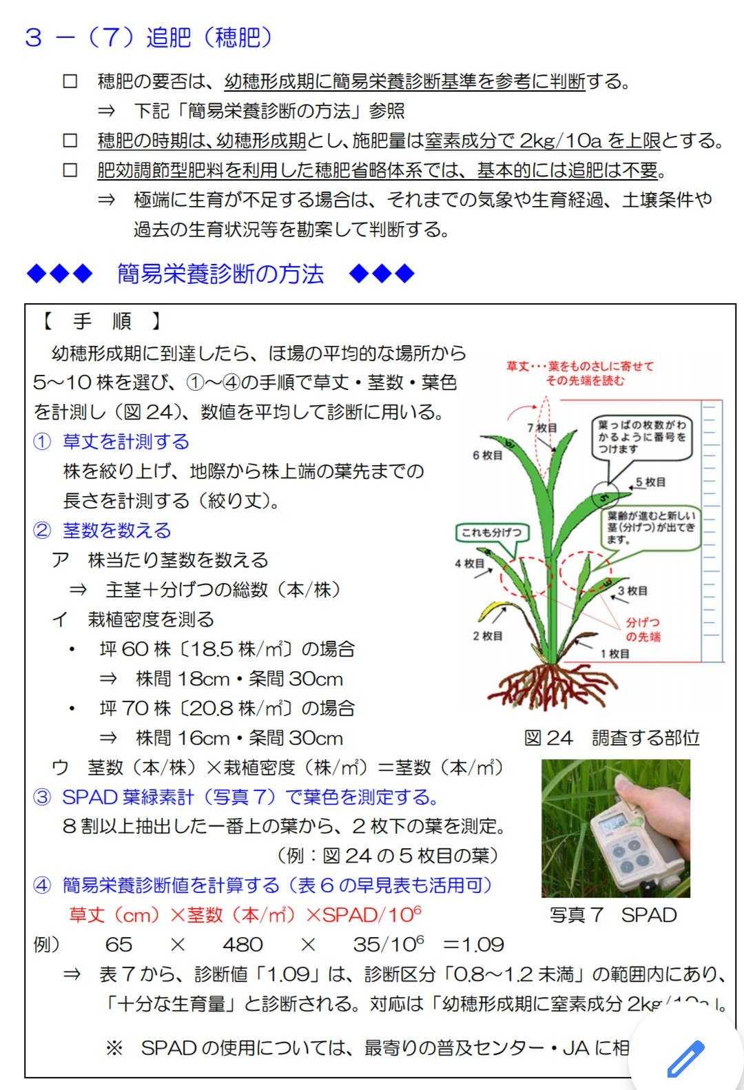 現代の岩手県の水稲生育診断に基づく穂肥 | 賢治と農 - 楽天ブログ