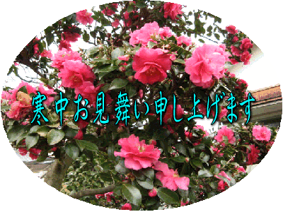 kanchumimai-sazanka[1]寒中見舞い.gif