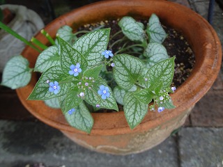 DSC04913.jpg