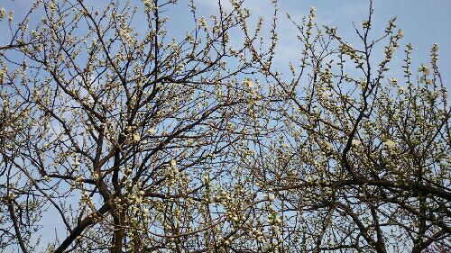 rblog-20150323195315-02.jpg