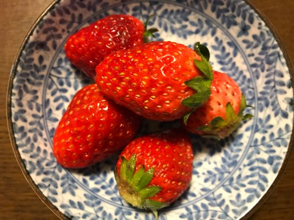 rblog-20190401205026-00.jpg