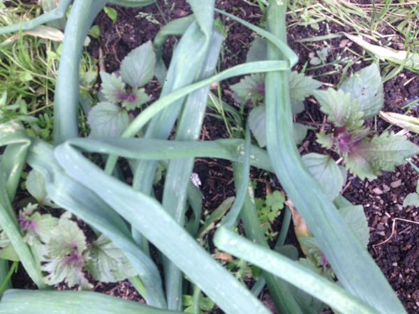 rblog-20160430112619-09.jpg
