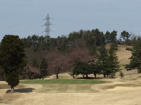 rblog-20160331153709-02.jpg