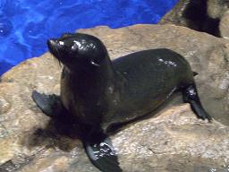 東京スカイツリー 084.jpg