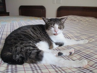 IMG_4440ss.jpg