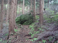 20120624_91.jpg