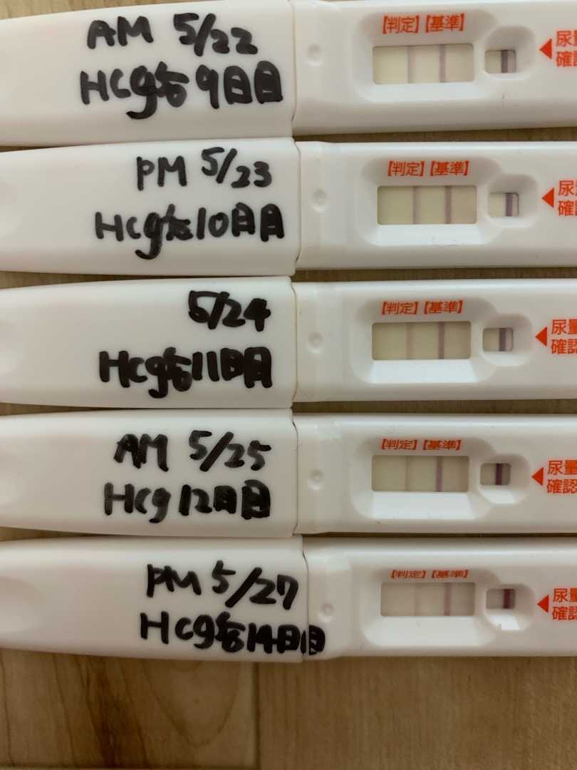 Hcg注射後14日目 着床出血 画像あり 31歳 流産2回 楽天ブログ