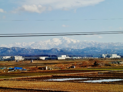 2015_0118_144519-P1183741 (500x375).jpg