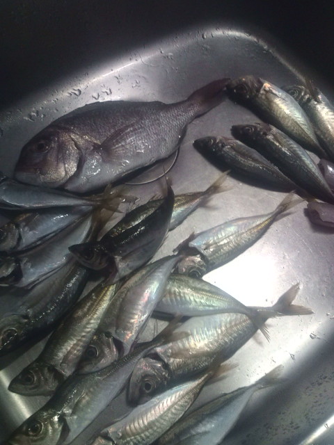 20120506140007.jpg