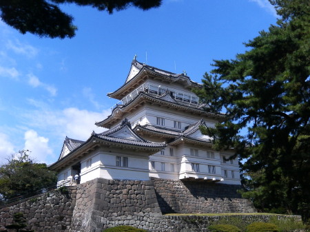小田原城.jpg