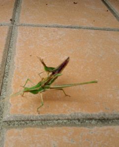 2012092112320001.jpg