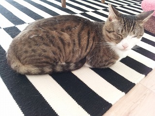 2013-06-24 11.35.03ss.jpg