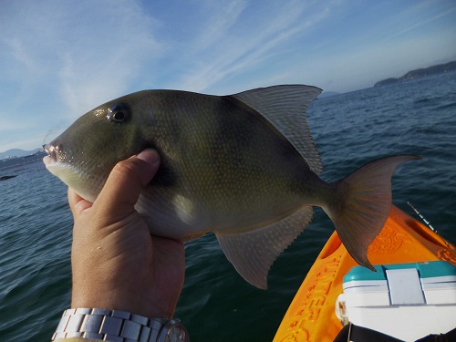 ４P1020184.jpg