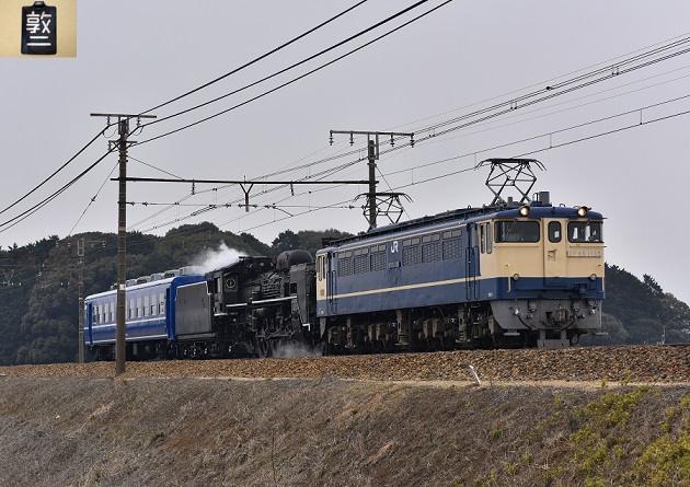 11 D810.JPG