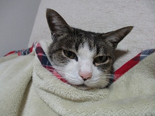 IMG_7494ss.jpg