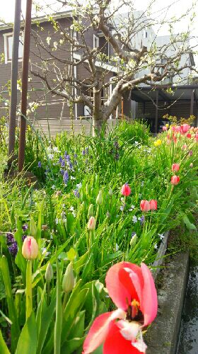 rblog-20150416083149-01.jpg