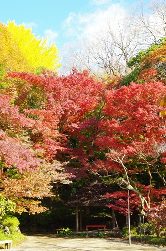 小石川後楽園