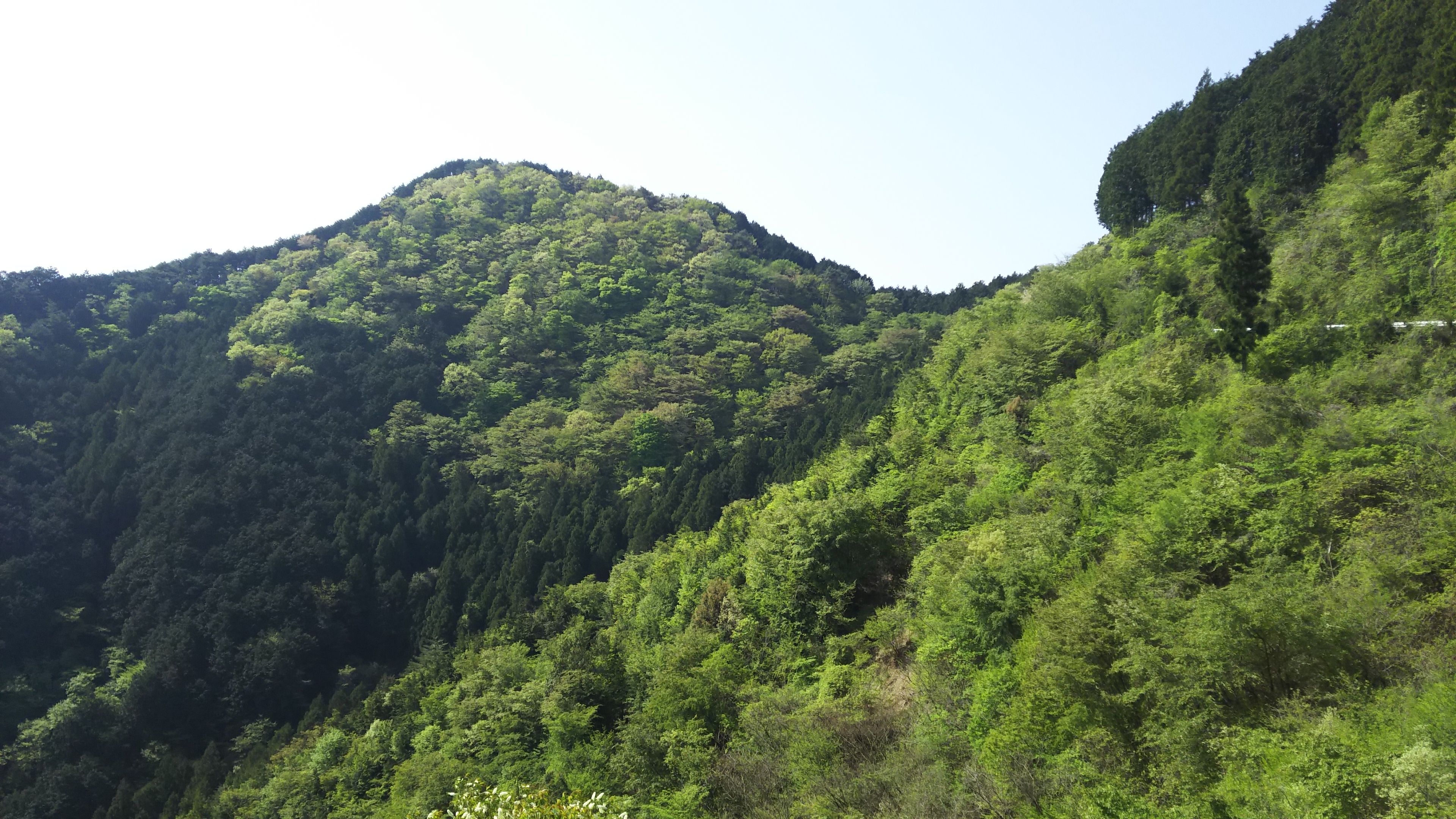 坂道ランニング（黒山方面） | スキー＆ランニング＆登山＆旅行の日記 - 楽天ブログ