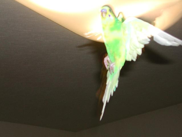 DSCN4251.jpg