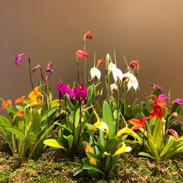 rblog-20180328081358-07.jpg