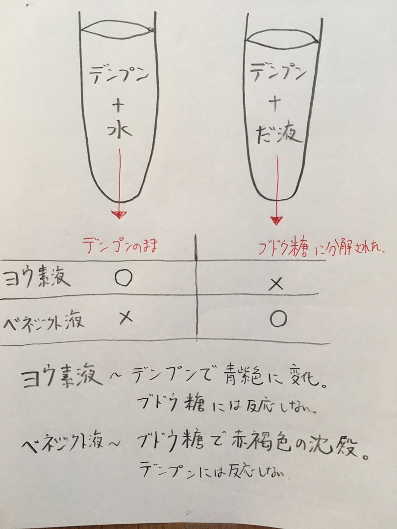 学習指示 中3 理科 テキストp16 P19 坂東市進学塾 スタディ ポート 港日記 楽天ブログ