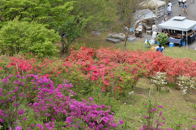 2015.4.29 057.JPG