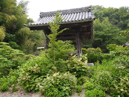 あじさい寺０５