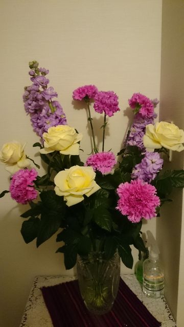 2015-02-02 19.40.15.jpg