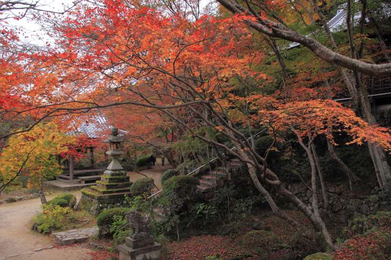 勝持寺_006鐘楼・不動堂.jpg