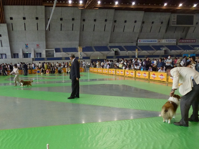 P1010240 - コピー.JPG